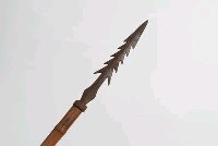 槍藏品圖，第7張